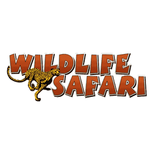 Wildlife Safari