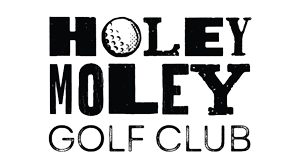 Holey Moley - Denver
