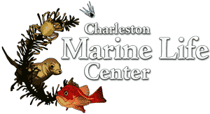 University of Oregon - Charleston Marine Life Center