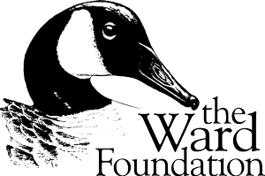 The Ward Museum - Salisbury University