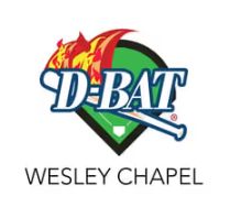 D-BAT - Wesley Chapel