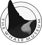 The Whale Museum