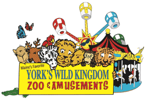 York's Wild Kingdom