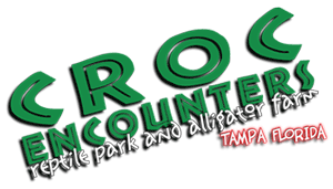 Croc Encounters