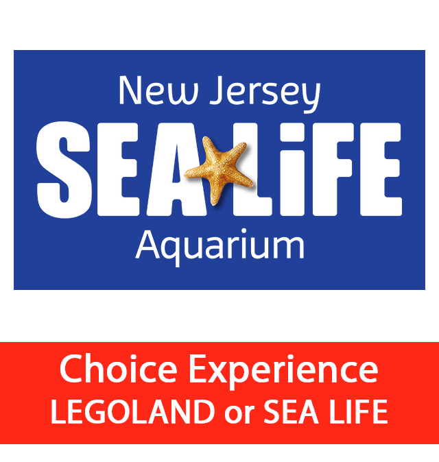 SEA LIFE New Jersey Aquarium