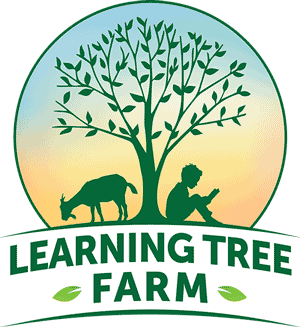 Learning Tree Farm