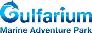 Gulfarium Marine Adventure Park