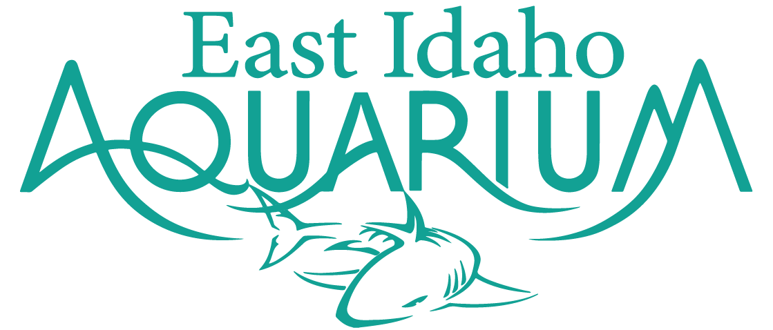 East Idaho Aquarium