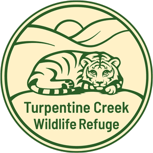 Turpentine Creek Wildlife Refuge
