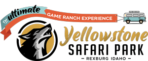 Yellowstone Safari Park