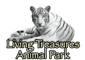 Living Treasure Animal Park