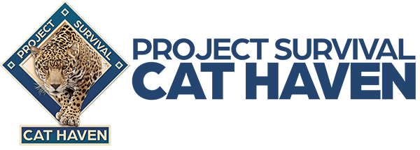 Project Survival Cat Haven