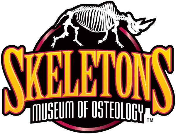 Skeletons Museum of Osteology