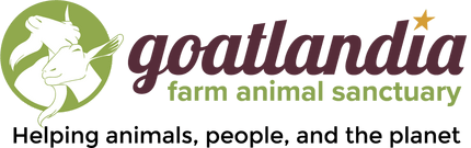 Goatlandia Farm Animal Sanctuary and Education Center