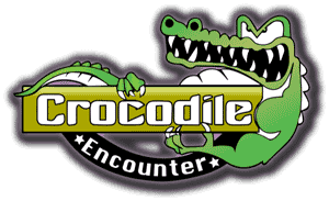 Crocodile Encounter